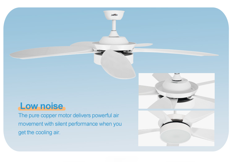 1stshine LED Ceiling Fan with Remote and 5 Speed Input Voltage V 110-240V-50-60Hz DC