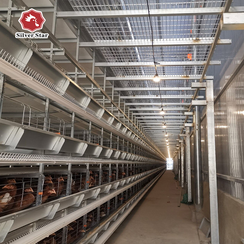 H Type Chicken Farm Battery Cages Dubai Large Scale Laying Hens 275g / M2