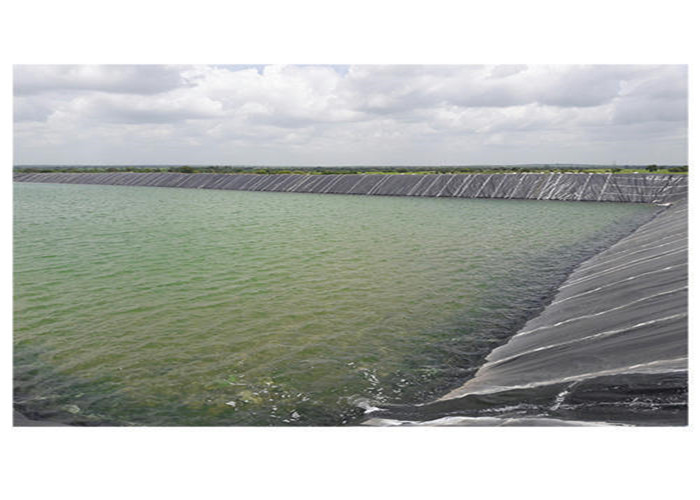 Fish Shrimp Farming Polyethylene Geomembrane Width 1m To 8m Pond Liner