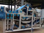 Beverage 440V 20T/H Pineapple Juice Processing Line