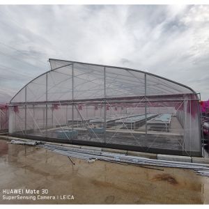 UV Proof Greenhouse Hydroponics System Vegetables Growing Deep Water Culture