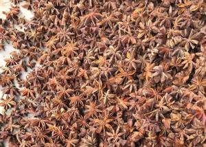 China New Crop Autumn Star Anise Seeds Natural wholesale