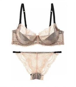 China New Sheer Lace Bra Set wholesale