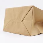 120gsm Eurotote Brown Paper Gift Bags With Flat Handle for Retail Store