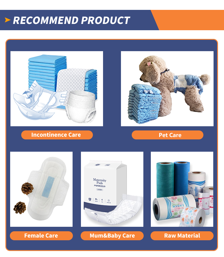 Freely Samples Offered Biodegradable Dog Puppy Extra Large Pet Cat Dog Training Puppy Pads