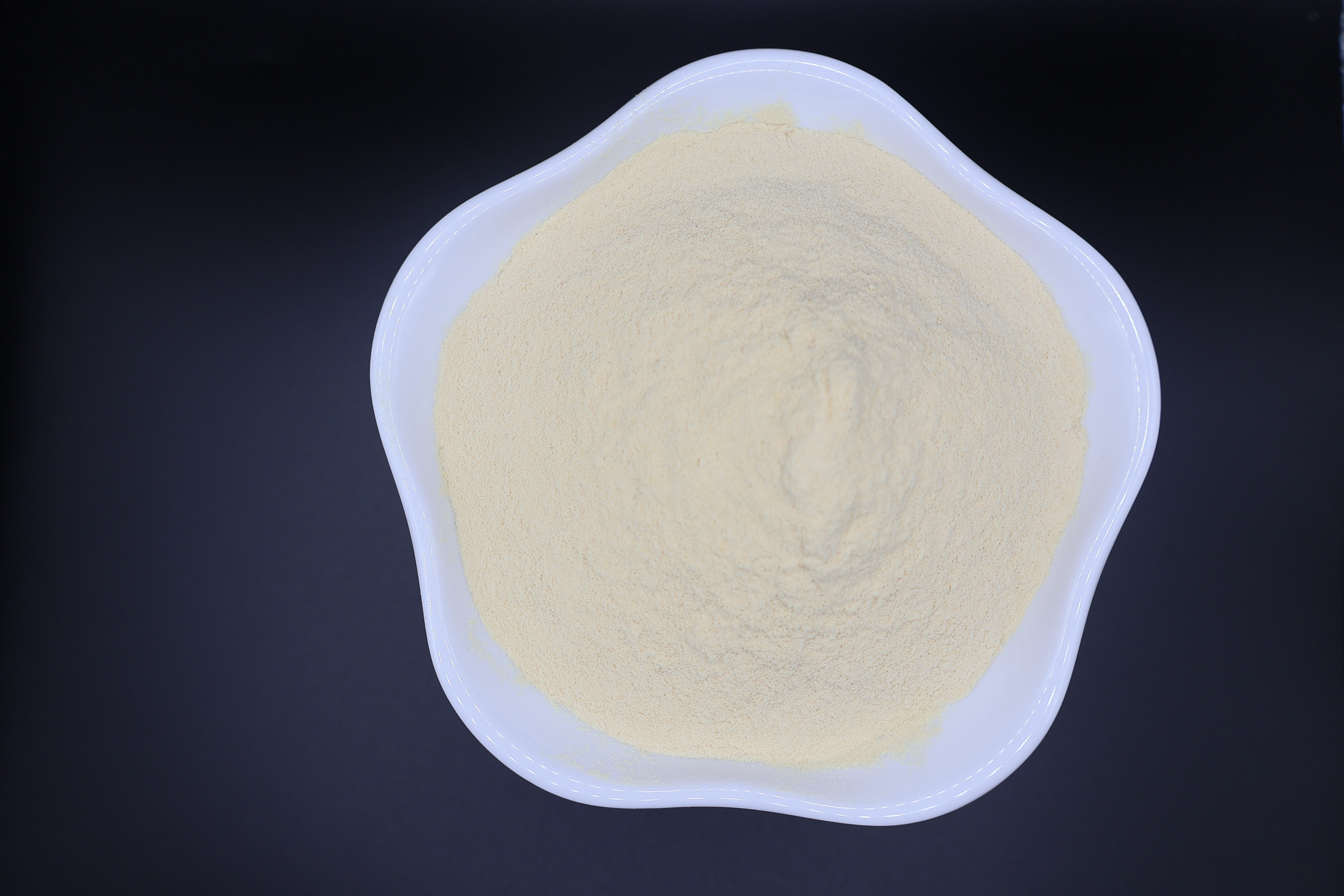 Industrial Fermentation-Grade Bone Peptone - Superior Nitrogen Source for High-Yield Bioprocessing