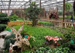 China Small Size Double Wall Greenhouse Single Span Agricultural Greenhouse wholesale