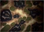 Waterproof 4mm Cr Rubber Material , Camo Neoprene Coated Nylon