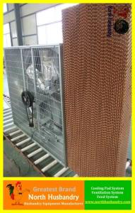 China Evaporative cooling pad for cooling system ( Greenhouse,Poultry Farm) wholesale