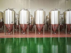China Top Manhole 5bbl Conical Beer Fermenter , Dry Hopping Stainless Steel Fermenter wholesale