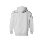 Tailoring Design Printing Logo Educational Merchandise College Hoodie Breathable