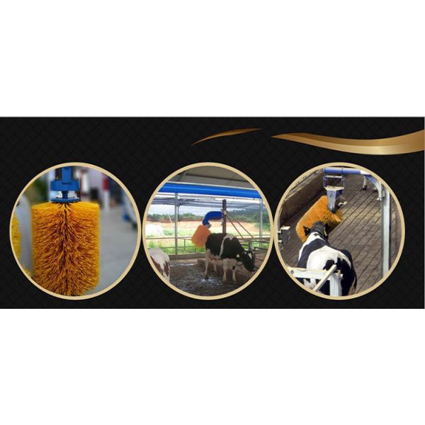 Poultry Breeding Equipment Cow Massage Brush Rotating Cow Shaving Brush