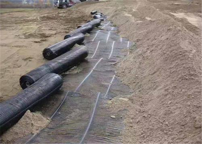 Acid Resistant Landfill 300gsm Plastic Geogrid Mesh