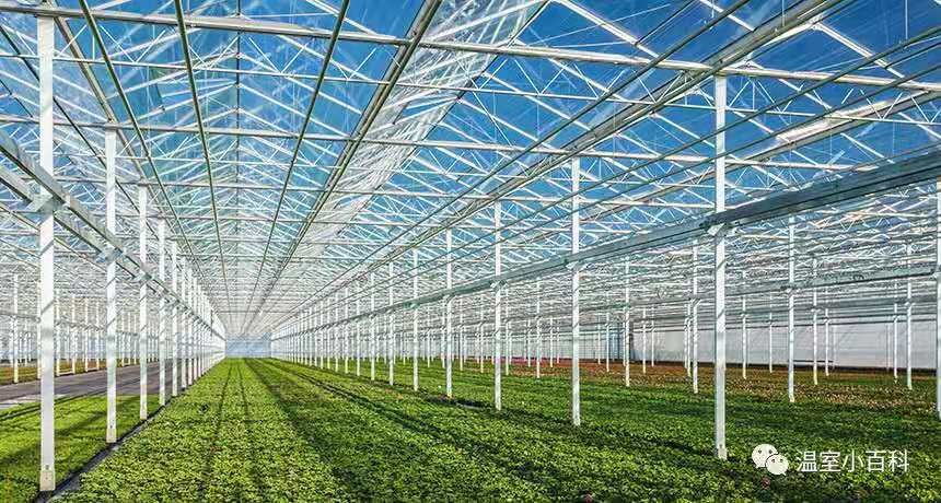 Tempered 4mm Greenhouse Roof Glass for Vagetables and Plants