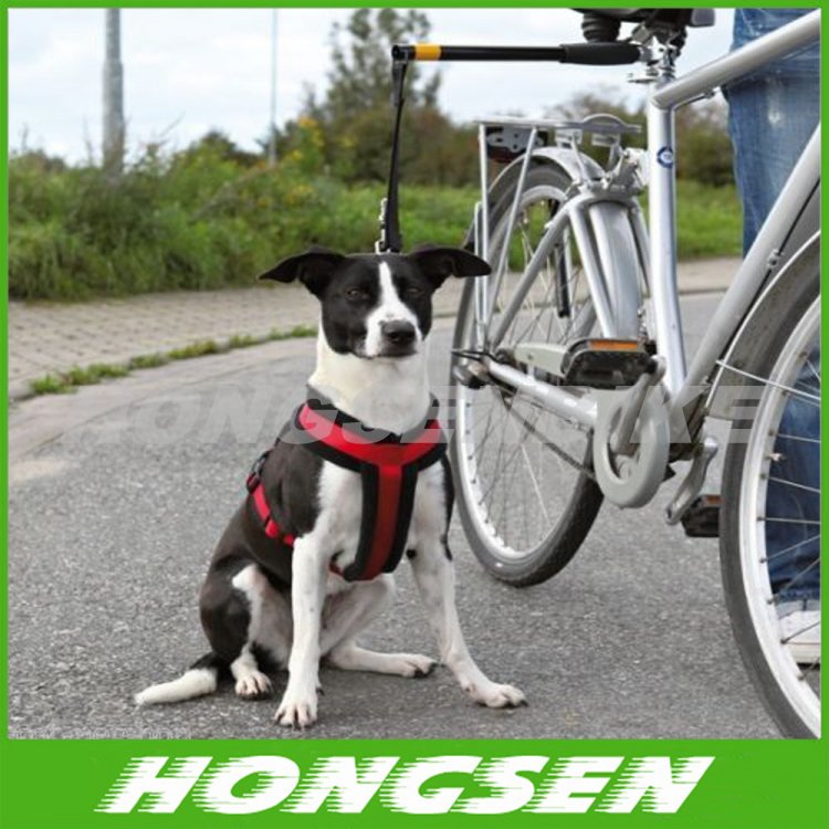 China wholesale led walking/running bicycle dog leash HS-D02