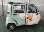 Passenger Gasoline Powered Vehicle Closed Gas Electric Trike Car