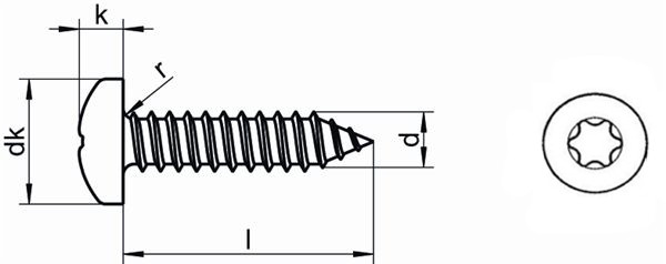 Torx Pin Pillar Drive Head Stainless Steel Self Tapping Screws A4 316 SS DIN7981