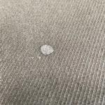 Yang Polyester Composite Fabric 270Dx270D 150cm 100 Polyester