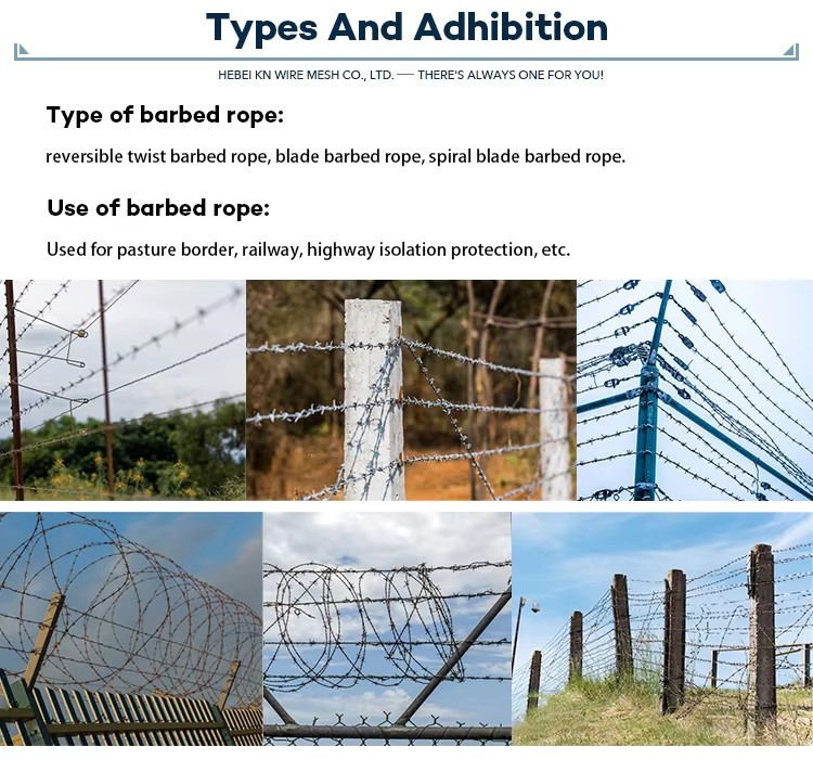 Standard BWG16 Double Strand Barbed Wire Fence With Handle