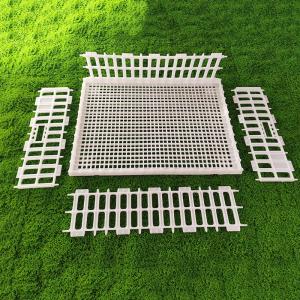 China Ventilated Portable Poultry Travel Cage Easy Assembly Yellow White Plastic Carrier wholesale