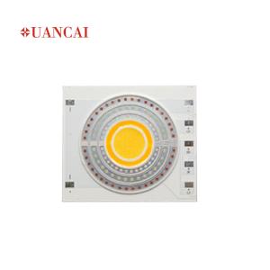 China 4046 RGB COB LED wholesale