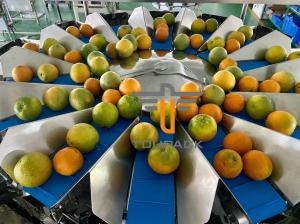 China Oranges Food Grade 5.0L 14 Head Multihead Weigher wholesale