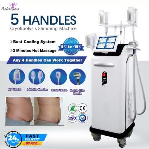 China Professional Fat Freezing Cryolipolysis Machine Slimming Weight Loss Fat Reduction wholesale