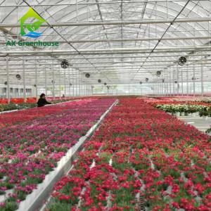 China Hot Dip Galvanized Steel Plastic Film Greenhouse 3-8m Gutter Four Seasons Greenhouse wholesale