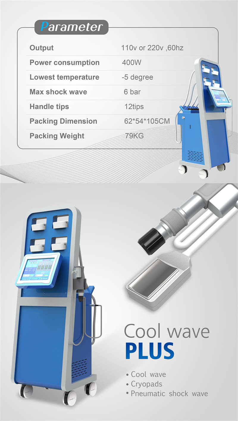 2 In 1 Vertical Air Pressure Type ESWT Therapy Machine For Cryolipolysis Cellulite Decrease