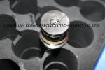 Polishing Precision Plastic Injection Molding STAVAX Material 0.02 Angle