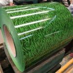 Ral Color Ppgi Galvanized Steel Coil , Az100 Prepainted Galvalume Coil