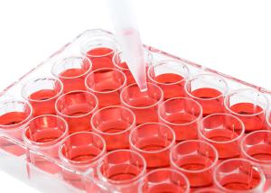 China Gamma Sterile Cell Culture Plate Lab Consumables Plastic Microplate 24 wholesale