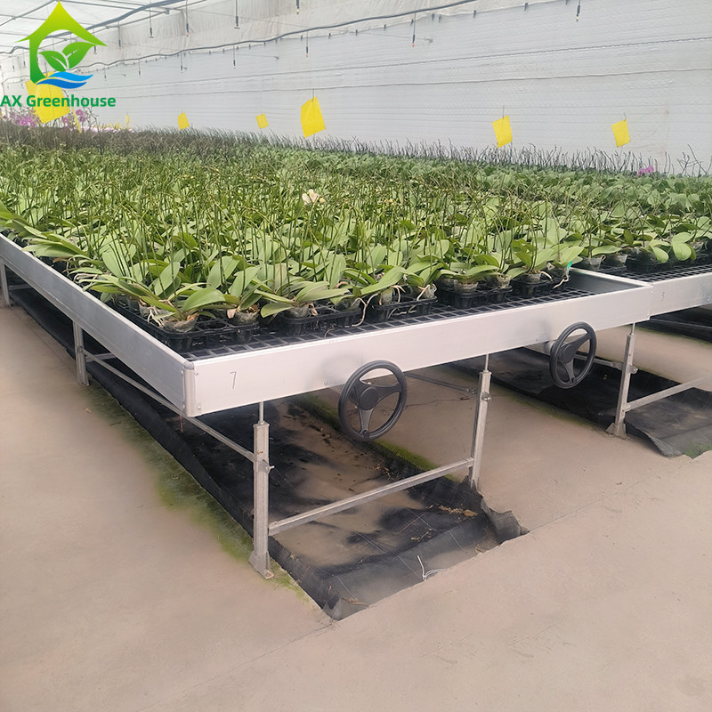 Ebb And Flow Greenhouse Farming Flower Grow Table Rolling Bench For Seedling