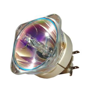 China Optoma EH501 LCD DLP projector lamp bulb wholesale