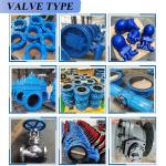 Water Media DN50-16P Stainless Steel Open Stem Gate Valve with Chinese Standard
