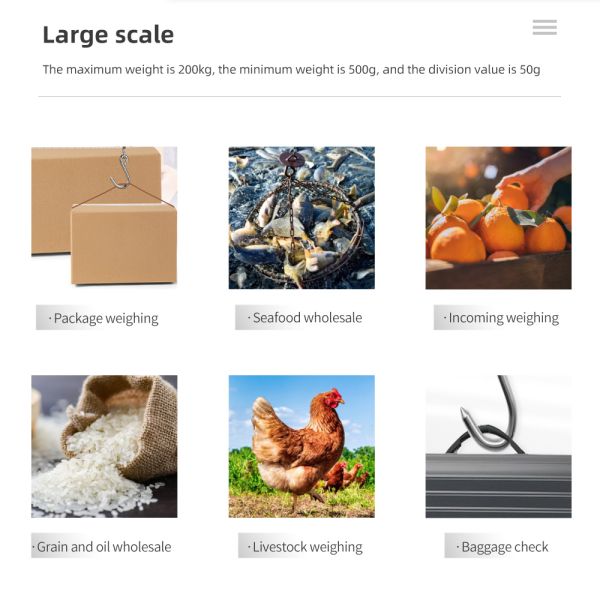 OEM Customizable 200kg Capacity Heavy Duty Stainless Steel Hanging Hook Scales Personal Digital Smart Weighing Scale