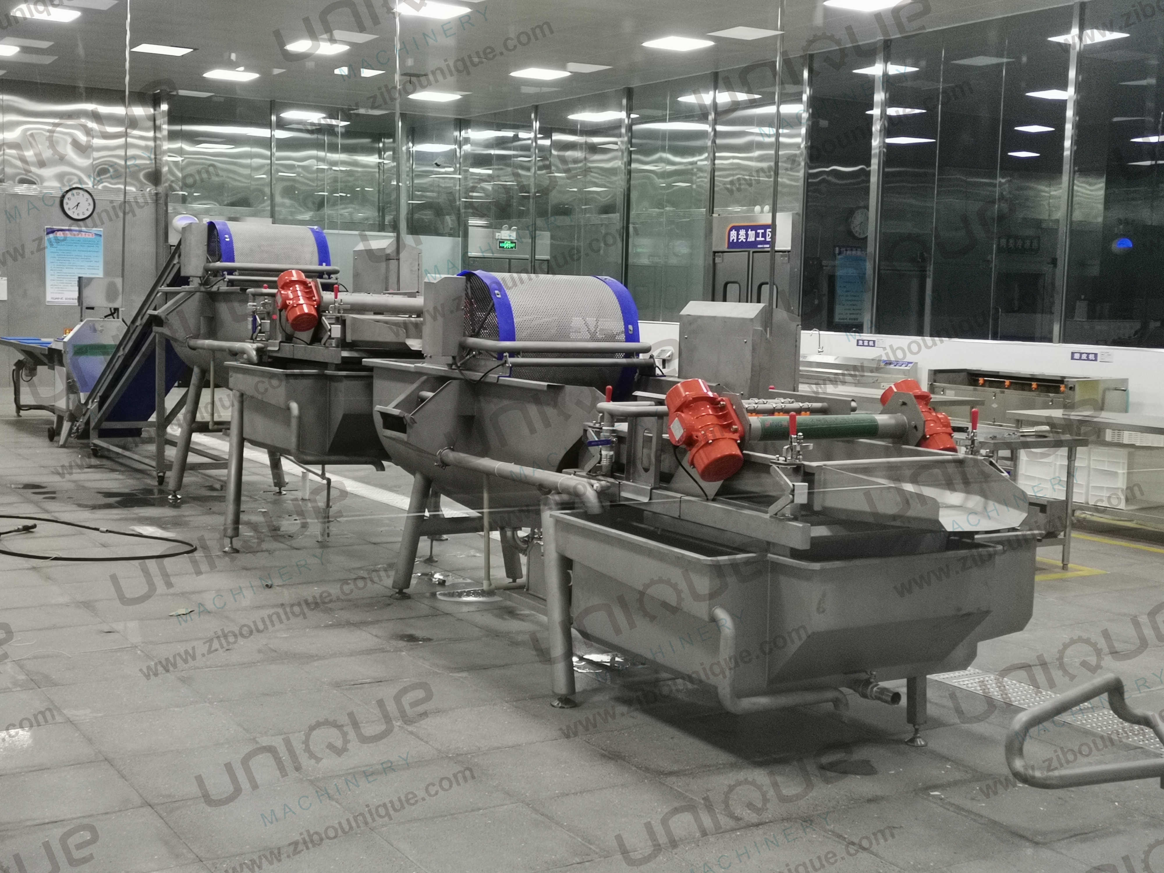 Selecting Fruit And Vegetables Sorting Machine For Dates Splitting