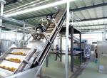 Professional Pineapple Fruit Juice Production Line 2000KG 380V 75kw