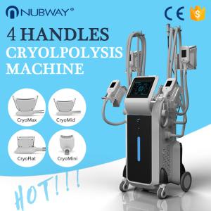China 4D cooling surface user manual cryolipolysis freezefats reviews machine korea wholesale