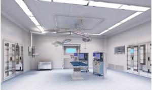 China Hospitals Clean Room Compressed Fibre Cement Board 12mm Non Combustible wholesale