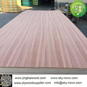 China sapele plywood wholesale