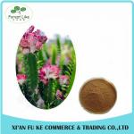 Phamaceutical Ingredient High Quality Low Price Loss Weight Product Cactus
