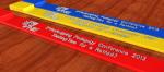 Embossed Logo Silicone Wristband USB Drive Bracelet 4G 16G FCC Approved