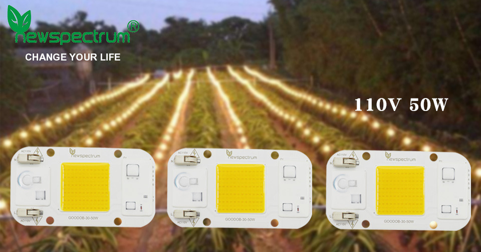 3000K 6000K AC COB LED Power 10W 20W 240V Warm Rgb LED Module