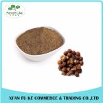 High Quality Reetha / Soapnut Extract Powder
