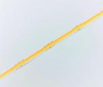 IP20 CAT Doul Line Flexible COB LED Strip Dynamic White
