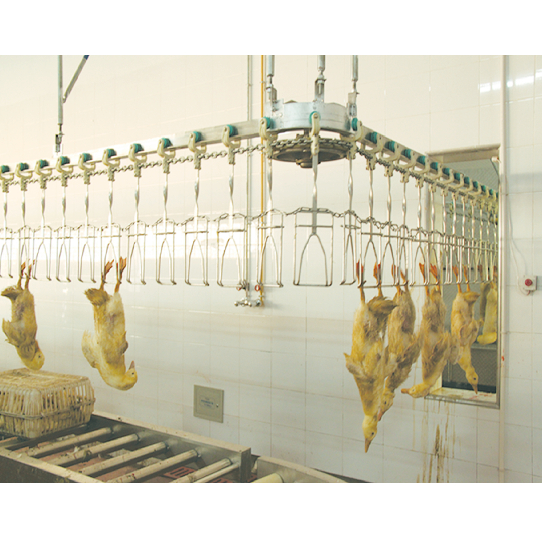Chicken Duck Automatic Slaughter Equipment For Poultry Slaughterhouse