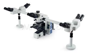 China Medical Research Multi View Microscope , Wide Field Fluorescence Microscopy wholesale