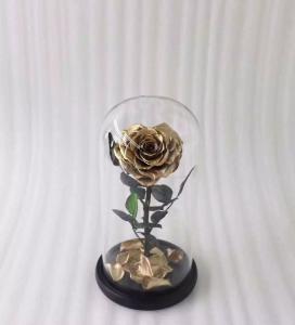 China Real Natural Fresh Big Rose Preserved Flower Preserved Everlasting Real Roses in Glass Dome for Sale wholesale