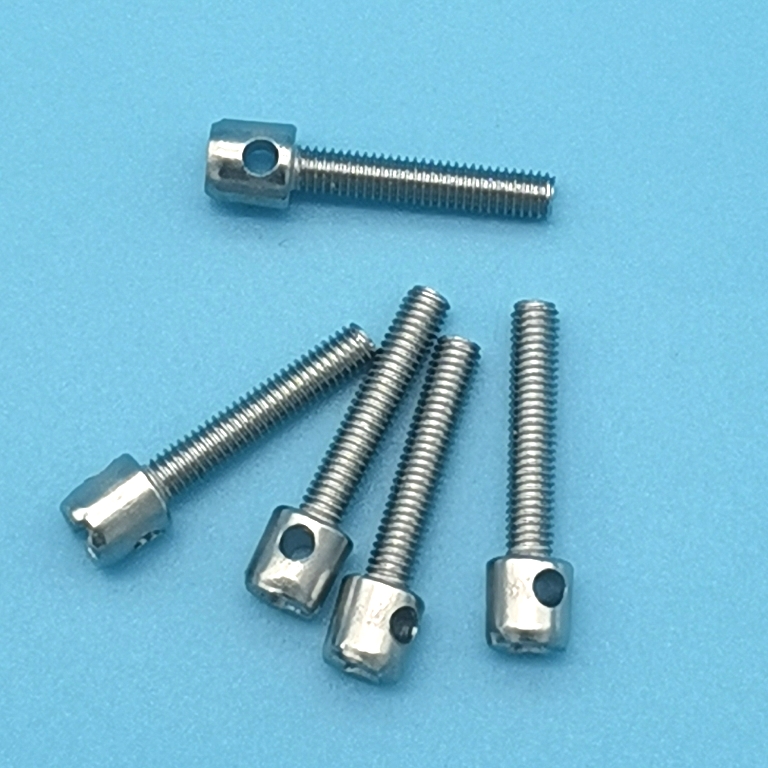 Cylindrical Head With Hole Coarse Thread Meter Screws, Galvanized Iron Or Stainless Steel Sealing Screws For Instruments